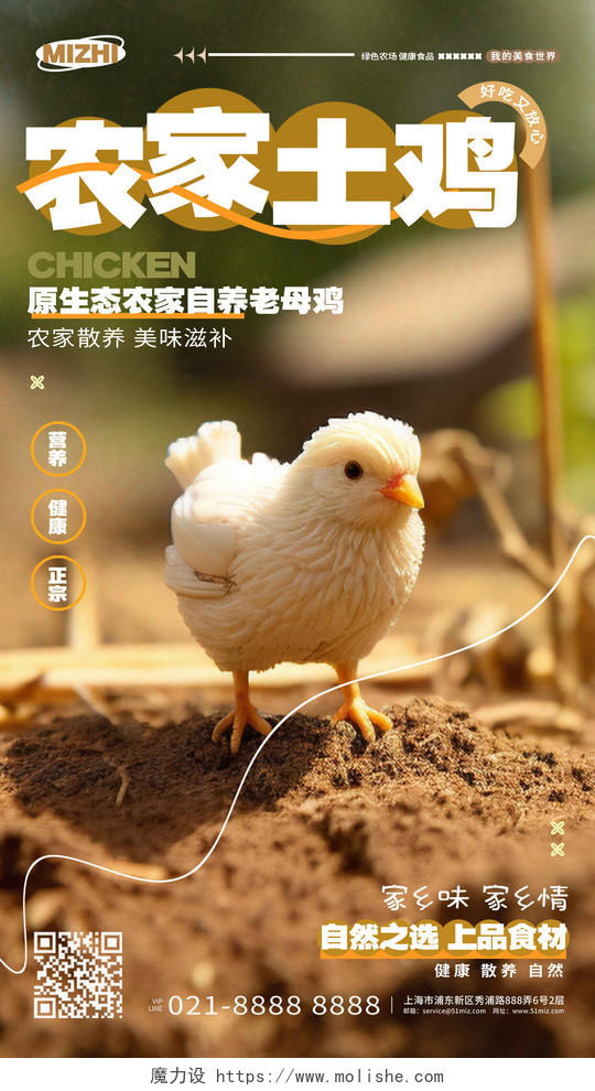简约写实风农家土鸡养殖场手机海报AI